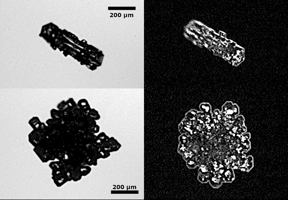 MartinSchnaiter's tweet image. First dark field images of ice crystals. We used the final flight of the #NASAExpeditions @SnowIMPACTS mission to successfully test this setup in #PHIPS. The dark field illumination gives a deeper insight on how ice crystals redistribute solar radiation.