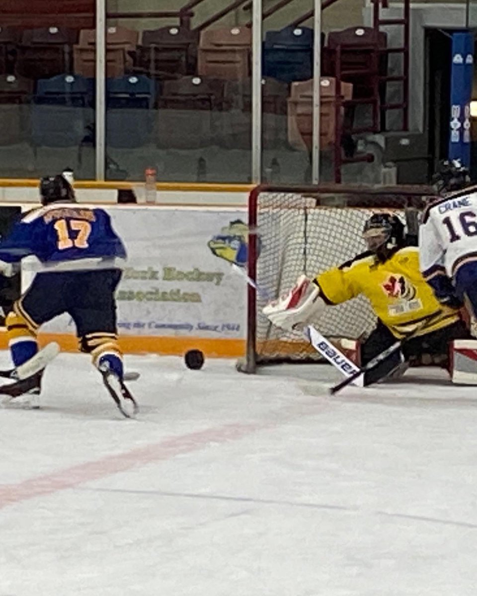 GTHL_EastYork's tweet photo. East York U17 selects have Canadian National Blind Hockey team goalie Joey Cabral join their practice #blindhockey #hockeyisforeveryone #inclusion #equityinsports @CDNBlindHockey https://t.co/YudbyJjoMJ