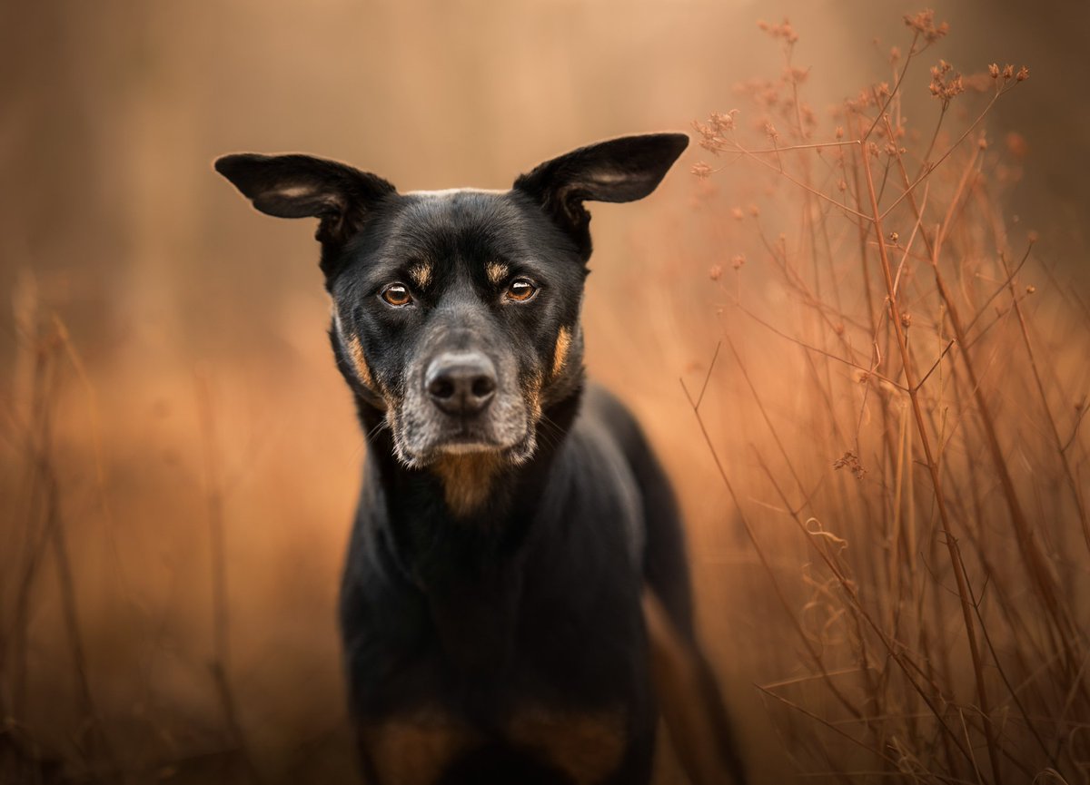 Happy Monday 🧡

Can't believe it's the first day of March tomorrow - who is ready for spring?! 🙋‍♀️🙋‍♀️