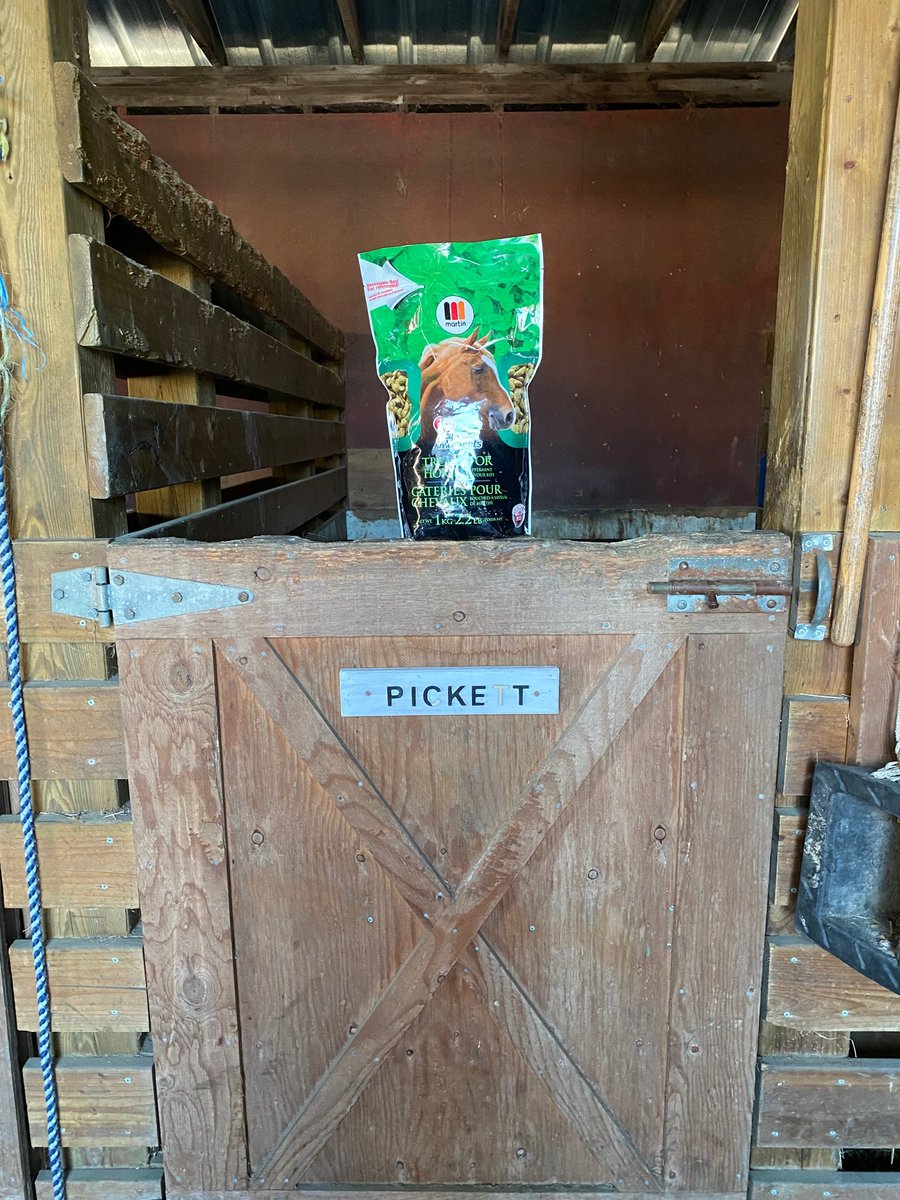 Pickett loves Peppermint 💚 

#doyourhorseaflavour #specialmoments #horsetreats