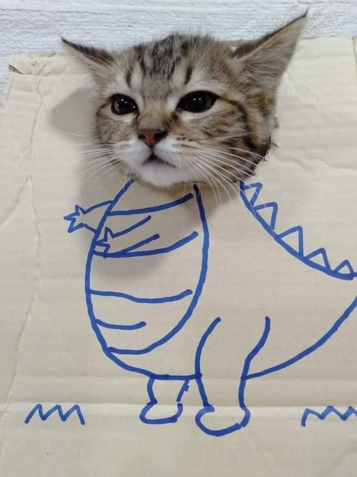 Alguém sabe qual o nome desse dinossaurinho?
