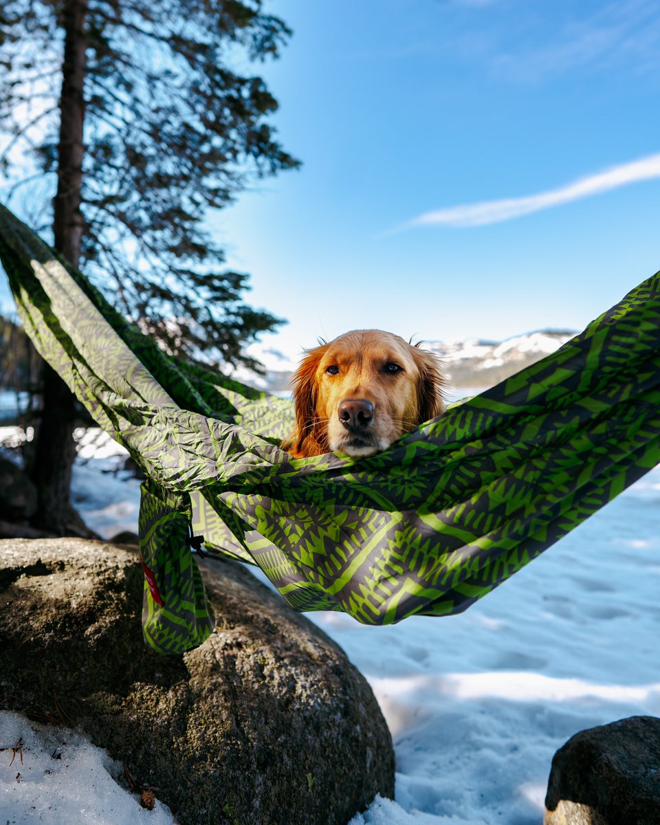 Aspen + Kelsie tweet media