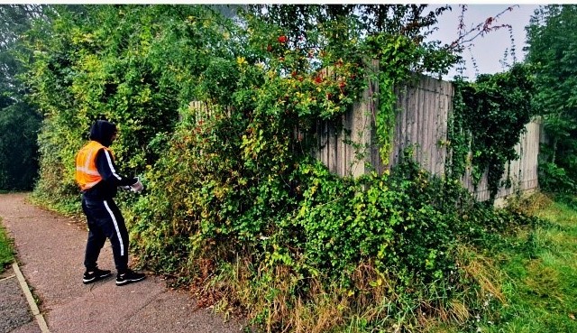 hmpps's tweet photo. A Cambridgeshire school has been maintained &amp; improved by a Community Payback Team

✂️ trimming hedges
🧹 clearing pathways
✔️ fixing the fence around the school

Giving children &amp; staff more outdoor space to use and helping to keep the school secure. 

See the before &amp; after ⬇️ https://t.co/njwfkC58nb