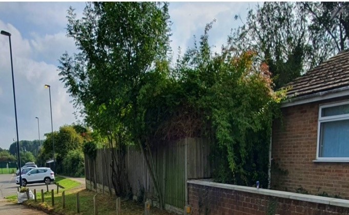 hmpps's tweet photo. A Cambridgeshire school has been maintained &amp; improved by a Community Payback Team

✂️ trimming hedges
🧹 clearing pathways
✔️ fixing the fence around the school

Giving children &amp; staff more outdoor space to use and helping to keep the school secure. 

See the before &amp; after ⬇️ https://t.co/njwfkC58nb