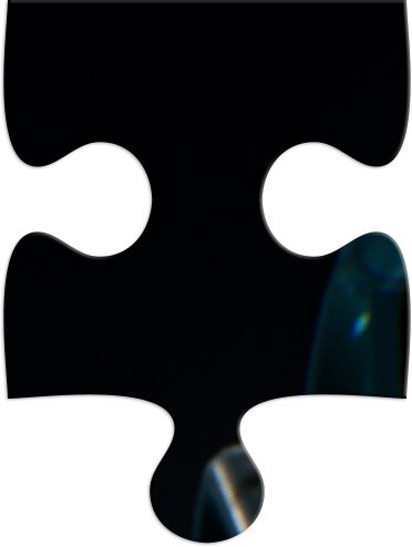 Alpha Guardians tweet media