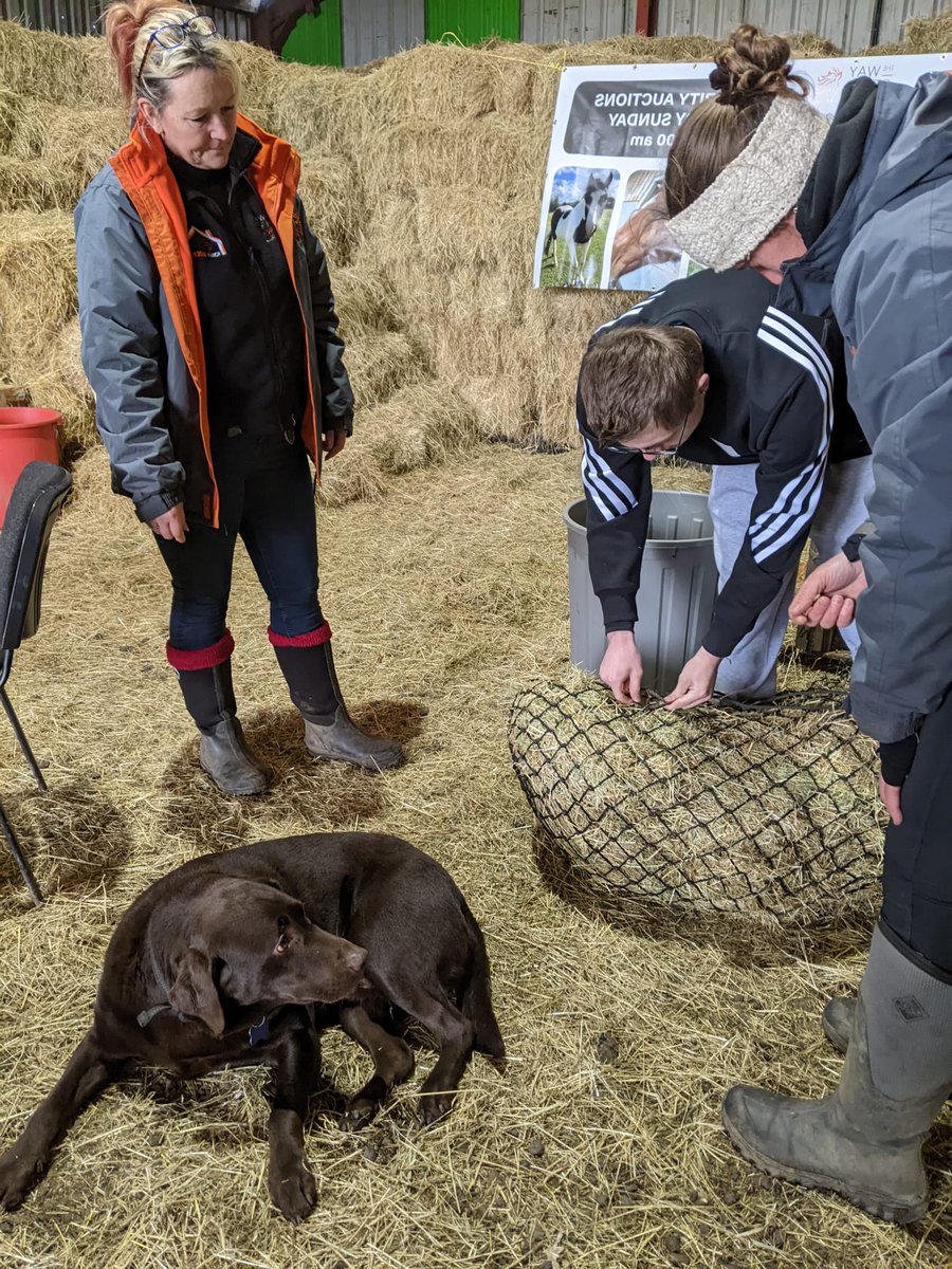 Our young people had a great first session on the Project Pony programme with <a href="/DinaCShale/">The Way of the Horse Discovery Center</a> today! They learned about the emotional scale, managing their reactions and of course the horses' stories 🐎 
Huge thanks to <a href="/TNLComFund/">The National Lottery Community Fund</a> for supporting this brilliant project 👏