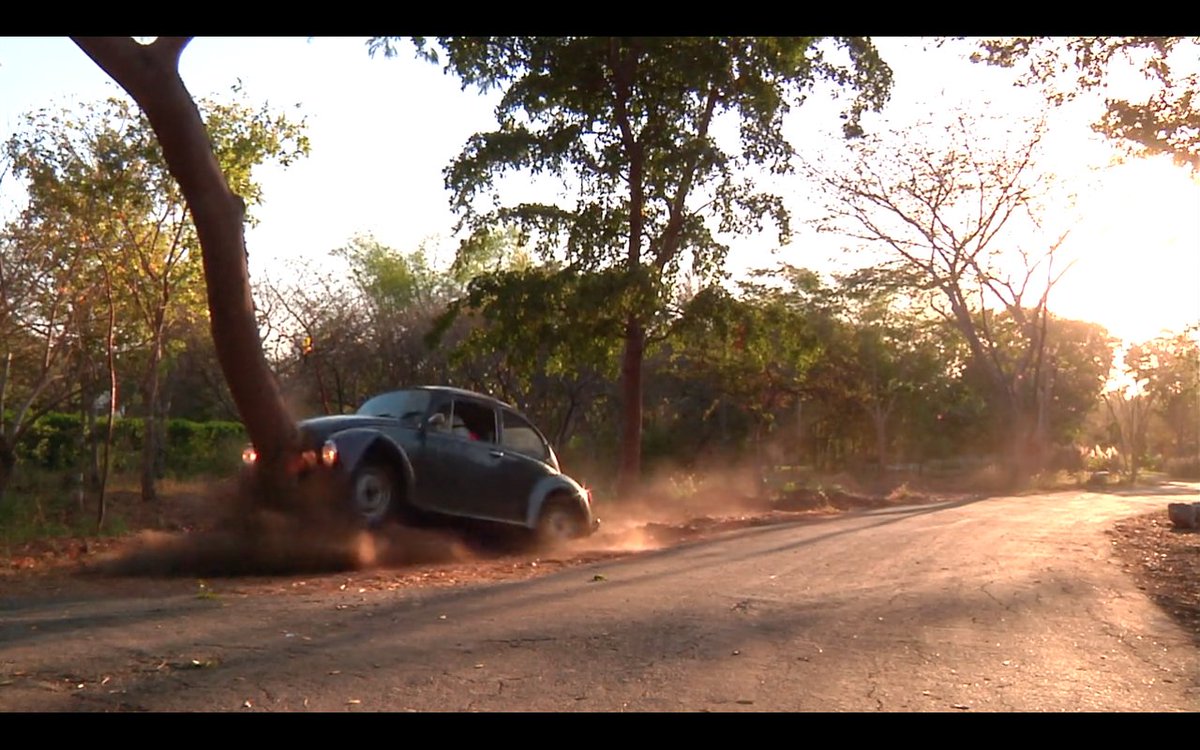 Francis Alÿs tweet media