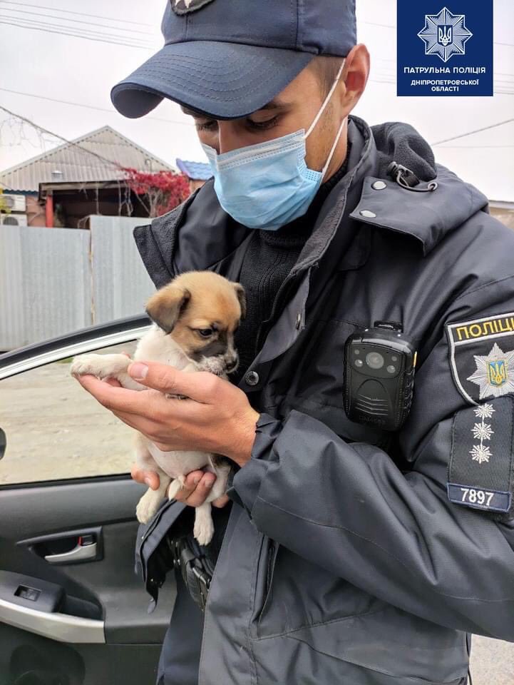 We’ve been supporting the wonderful people of Ukraine for years, and we will continue to do so. 
The compassion shown towards animals in the past few days has shown the World just what their animals mean to them. #ukraine #ukraineanimals