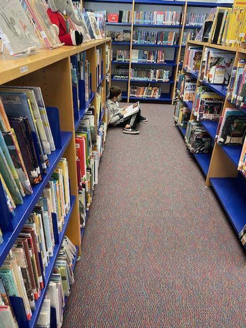 Meg Schryver tweet media