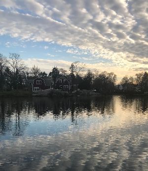 GYGSheena's tweet photo. Please join Yoga for Living with Loss  on Tues. March 1st 6-7pm - https://t.co/AYjNDKCl98 Your SIXTH chakra, AJNA, offers intuition, insight, and wisdom as we grieve. Visit https://t.co/XTR8mUafw2 https://t.co/9hlQf3YUyv