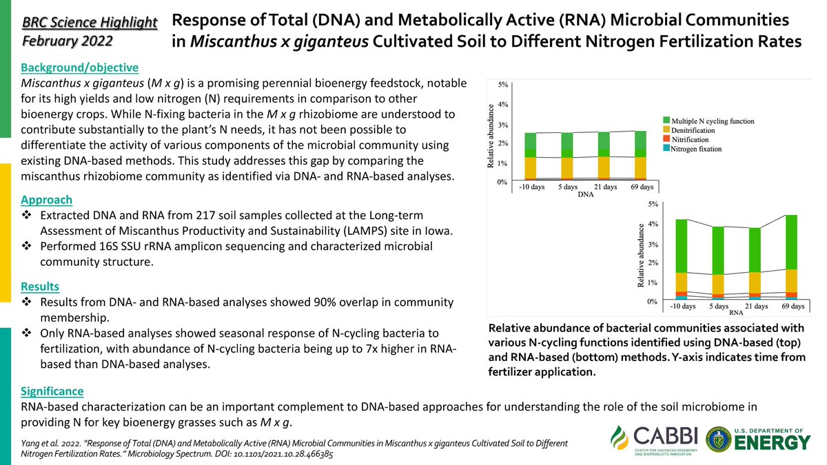 CABBIbio's tweet photo. A CABBI study published in Microbiology Spectrum shows that RNA-based characterization complements DNA-based approaches to understand the role of the soil #microbiome in providing nitrogen for energy grasses like #Miscanthus x giganteus.

📰 https://t.co/Jvo9zdrxeB https://t.co/kDVQQAb8F3