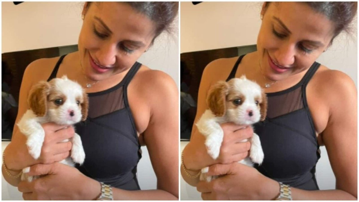 Dog_express's tweet photo. Healthy Recipe for Dog Treat by Celebrity Fitness Trainer. 😍

https://t.co/M7YE04SQoU

#Dogexpress #Dognews #Dogfun #Doglovers #Dogoftheday #Doglover #Doggy #Cutedog #Doglove #Dogsforlife #Covid_19 https://t.co/DvJhx2HqES