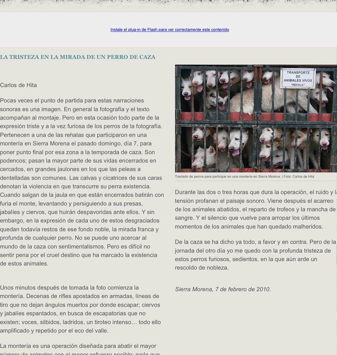 Dulce Aguilera| ABOGADA tweet media