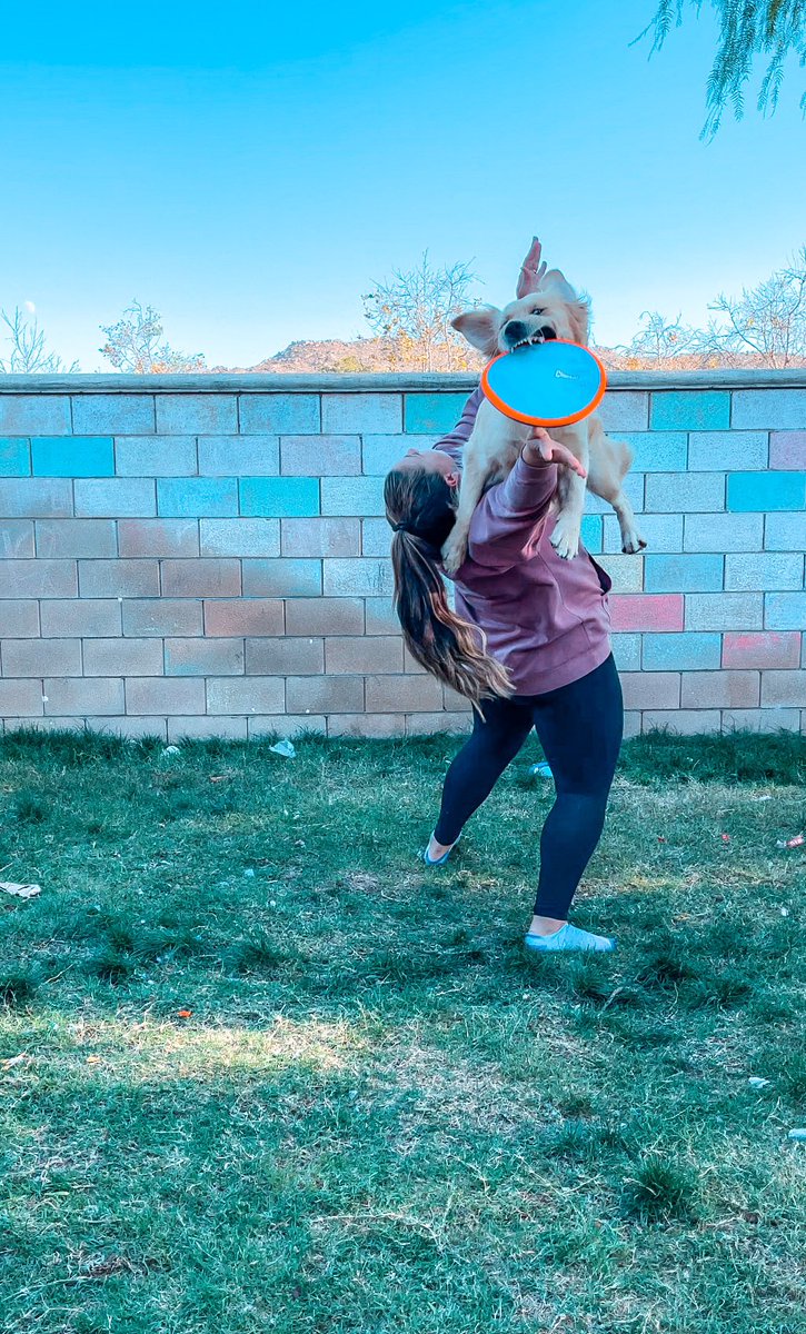SamAndTheDogs's tweet photo. Happy Monday! Show me your best fail pictures 😂 #dogsoftwitter #twitterdogcommunity https://t.co/RWcSmeEhl4