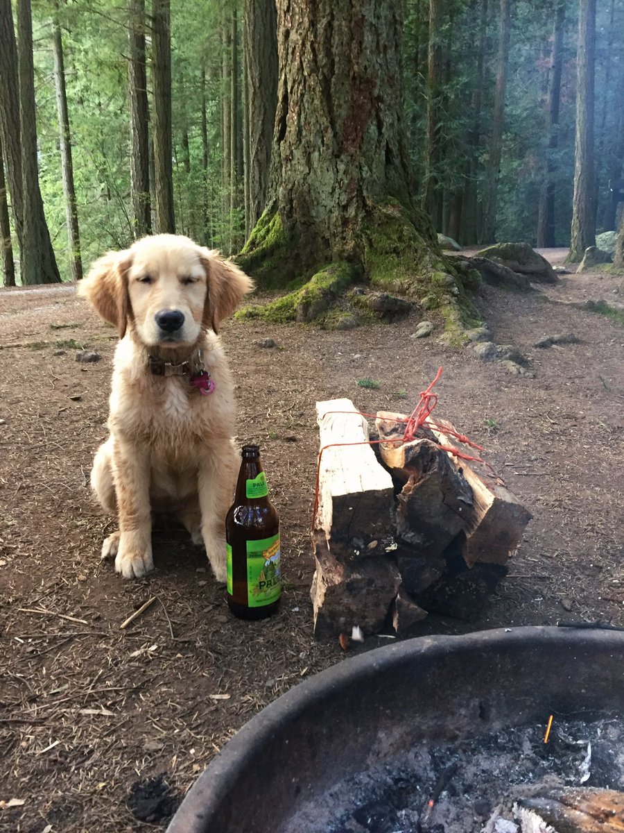 Huckleberry tweet media