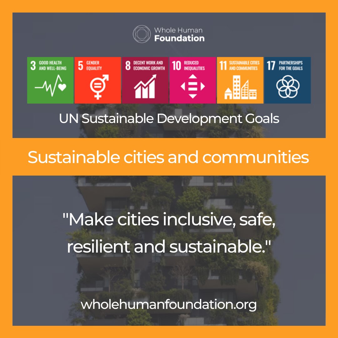 Whole Human Foundation is aligned with the UN's Sustainable Development Goals - one of these goals includes sustainable cities and communities.

We want to "make cities inclusive, safe, resilient and sustainable."
