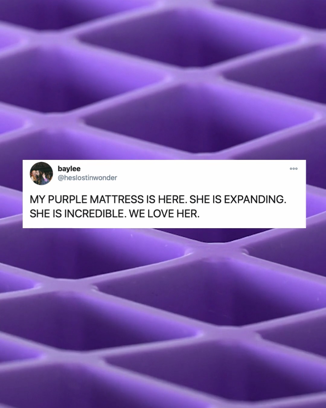 Purple Purple Twitter