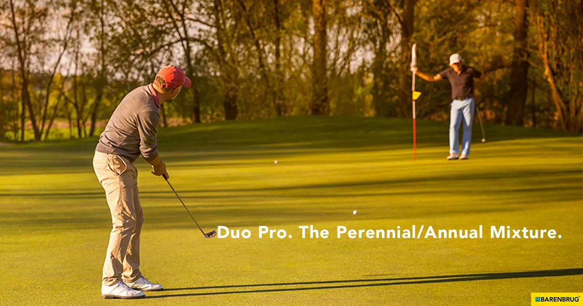 BarenbrugUSA's tweet photo. Warm-season areas overseeded with Duo Pro achieve the look of perennial ryegrass with the lower cost of the turf-annual! 🏌️♂️
Learn More: https://t.co/XuXdM12sZU
#DuoPro #Turf https://t.co/hBmNDmMhs0