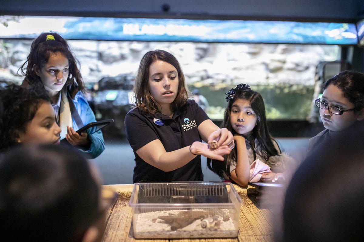 SheddLearning's tweet photo. What makes a coral reef unique?🦈 How can animal adaptations inspire engineering? 🐡Discover the answers with Science Tech Treks, a facilitated, on-site exhibit exploration at Shedd. Join us for our grade 2-3 focused programs here: https://t.co/S5ZFlOIHwY #SheddLearning https://t.co/3oNJ69QJmr