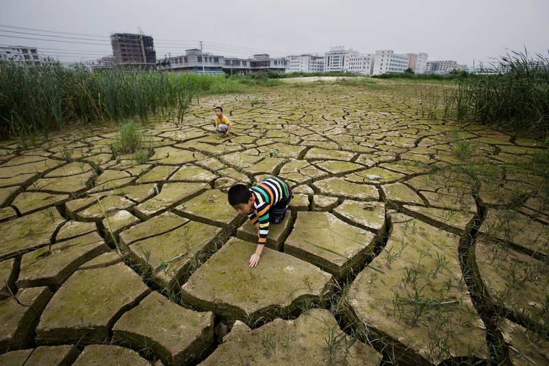 ClimateHome's tweet photo. Key takeaways from the #IPCC report:

1. Climate change is hurting our health  
2. Some things will be lost forever
3. We can adapt… up to a point
4. The poorest will be hit hardest
5. Each 0.1C matters 

https://t.co/opwffYgVIP https://t.co/PimDbKBcMy