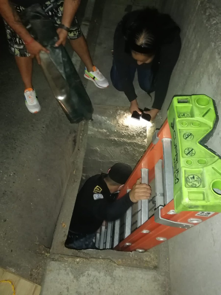 LetyVarela's tweet photo. Esta historia tuvo un final feliz afortunadamente 

“Niki” cayó a una coladera de 4 metros en la Colonia Simón Tolnahuac y una persona se dio cuenta.
Brigada de Vigilancia Animal @SSC_CDMX acudió al rescate y trasladamos a 🐶 para brindarle atención y localizar a su familia 
1/2 https://t.co/ZkM47G5wYb