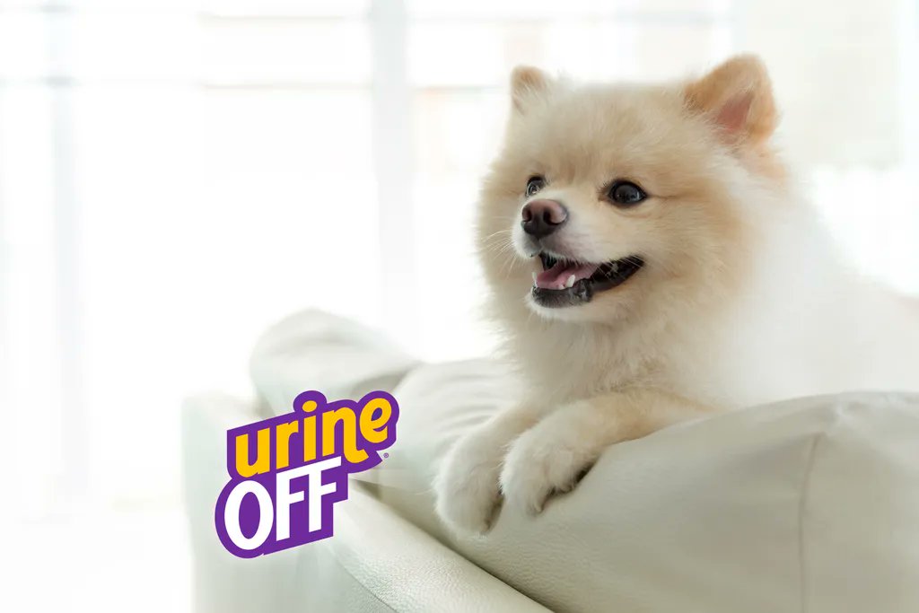 Urine Off Pet Products tweet media