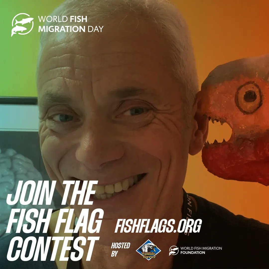 RiverMonstersUK's tweet image. We are excited to support the first-ever #FishFlagContest!
 
The #GLOBAL competition is free, and open to everyone aged 5-18! Help kids learn about the amazing diversity and importance of the world&apos;s #migratoryfish.
 
Submissions are due 14 April, 2022!
 
buff.ly/359OA8I