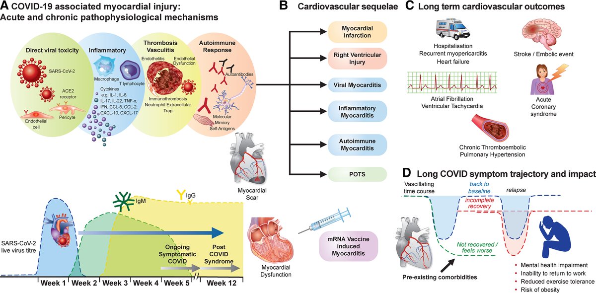 EHJ Editor-in-Chief (@ehj_ed) on Twitter photo Long COVID: post-acute sequelae of COVID-19 with a cardiovascular focus! academic.oup.com/eurheartj/adva…
#COVID19 #longCOVID #CVD #outcome #cardiotwitter <a href="/escardio/">European Society of Cardiology</a> <a href="/ESC_Journals/">European Society of Cardiology Journals</a> Long COVID: post-acute sequelae of COVID-19 with a cardiovascular focus! academic.oup.com/eurheartj/adva…
#COVID19 #longCOVID #CVD #outcome #cardiotwitter <a href="/escardio/">European Society of Cardiology</a> <a href="/ESC_Journals/">European Society of Cardiology Journals</a>