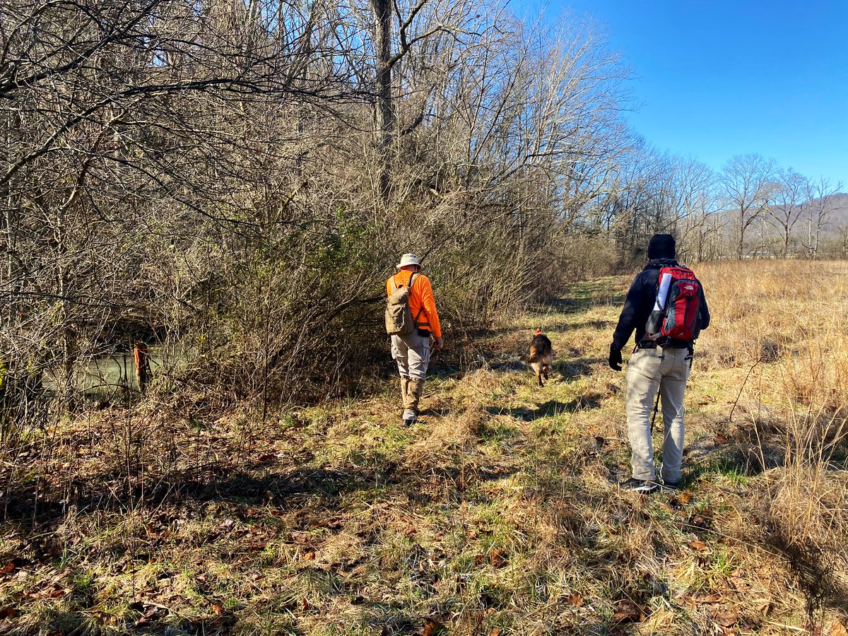 TBInvestigation's tweet photo. Today, TBI agents and Hawkins County deputies are back in the Beech Creek area as part of a planned search for six-year-old #SummerWells. Teams have been focusing on previously identified areas of interest. https://t.co/F0aCE3dzKH