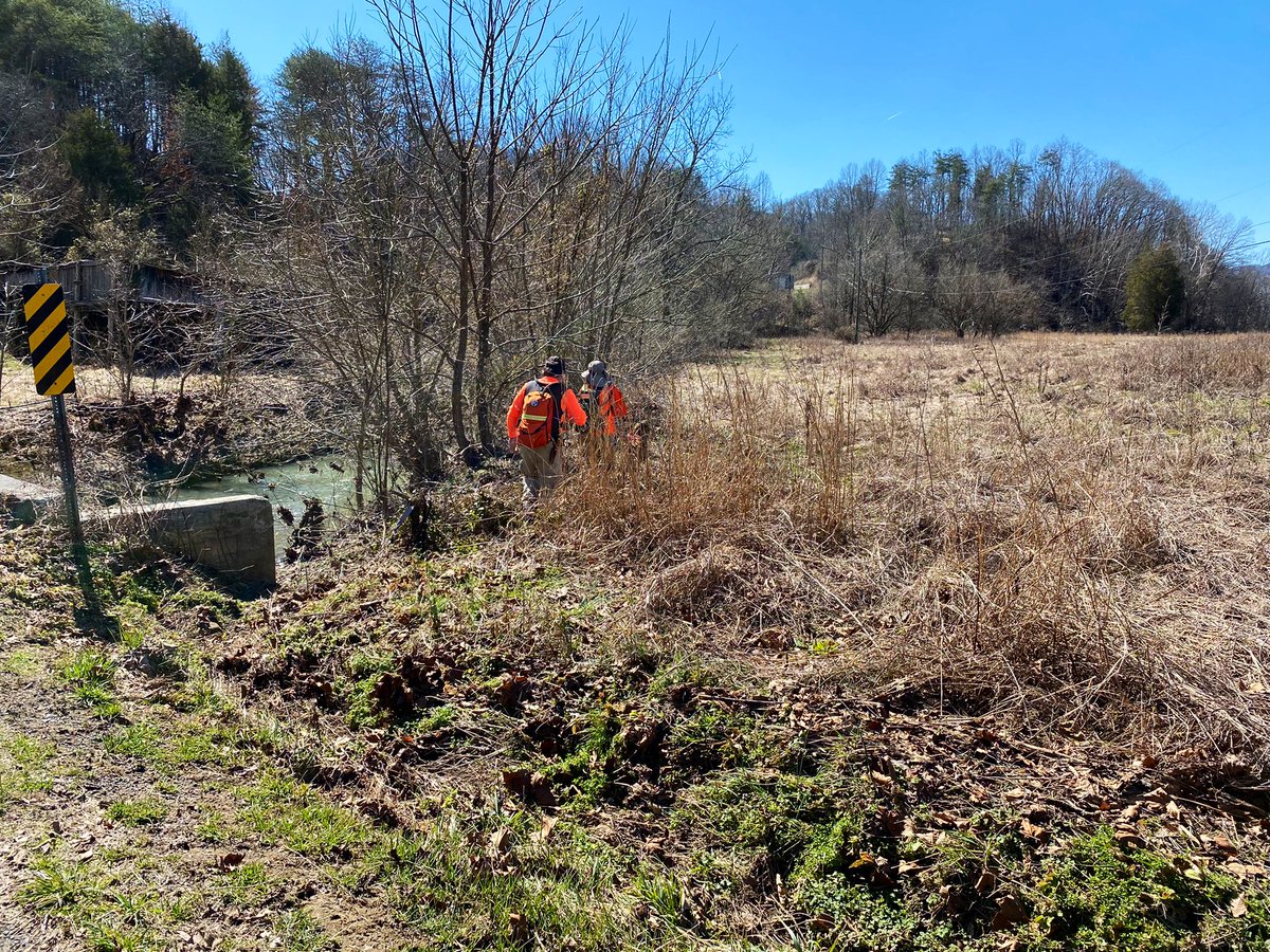TBInvestigation's tweet photo. Today, TBI agents and Hawkins County deputies are back in the Beech Creek area as part of a planned search for six-year-old #SummerWells. Teams have been focusing on previously identified areas of interest. https://t.co/F0aCE3dzKH