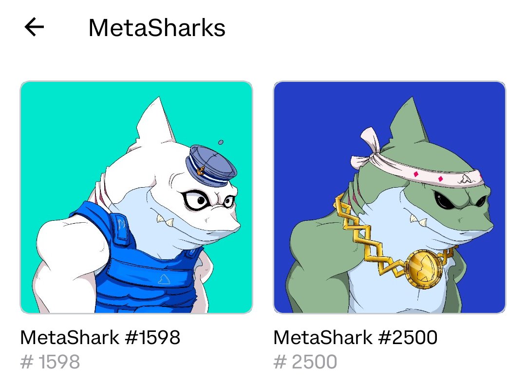 Joeljua08954354's tweet photo. @MetaSharksNFT @jarule Happy B-Day 🎉@jarule 🦈🦈 #metasharks #theshiv #sharks https://t.co/ZydET73Nne