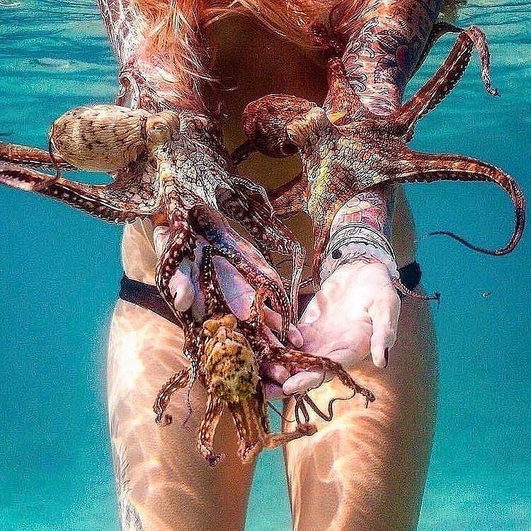 scubadivingyard's tweet photo. 🐙 Who would do this? I definitely would 😜
-
Tag someone that needs to see this 💥
-
Via : 📸 : Photo: @musashi671 🙏🏻
-
#scubagear #scubadive #dive #diver #scubadivers #scubadivingmag #scubagram #scubadiving #scubagirl #scubalove #scuba_diving #scubapro #scubadivingtrip https://t.co/qVXC8vGog0