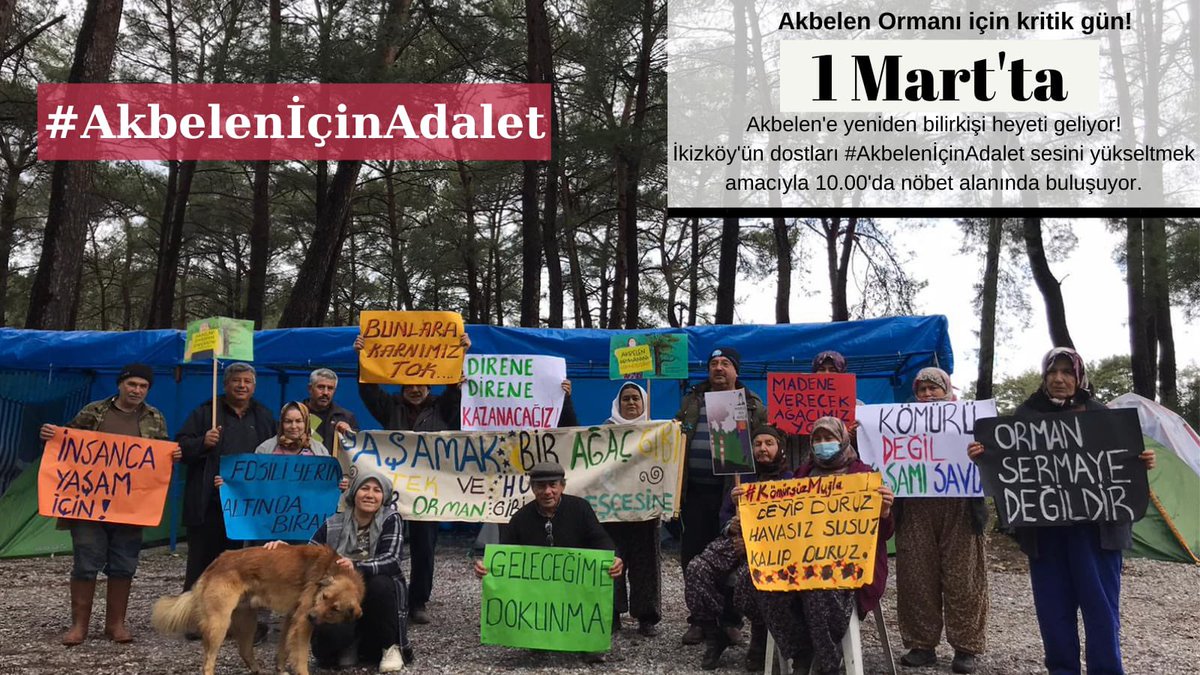 Yeniköy Kemerköy Elektrik Üretim ve Ticaret AŞ, Muğla Milas’taki iki termik santraline kömür sağlamak amacıyla İkizköy mahallesindeki Akbelen Ormanını yok edemez!  #AkbelenİçinAdalet