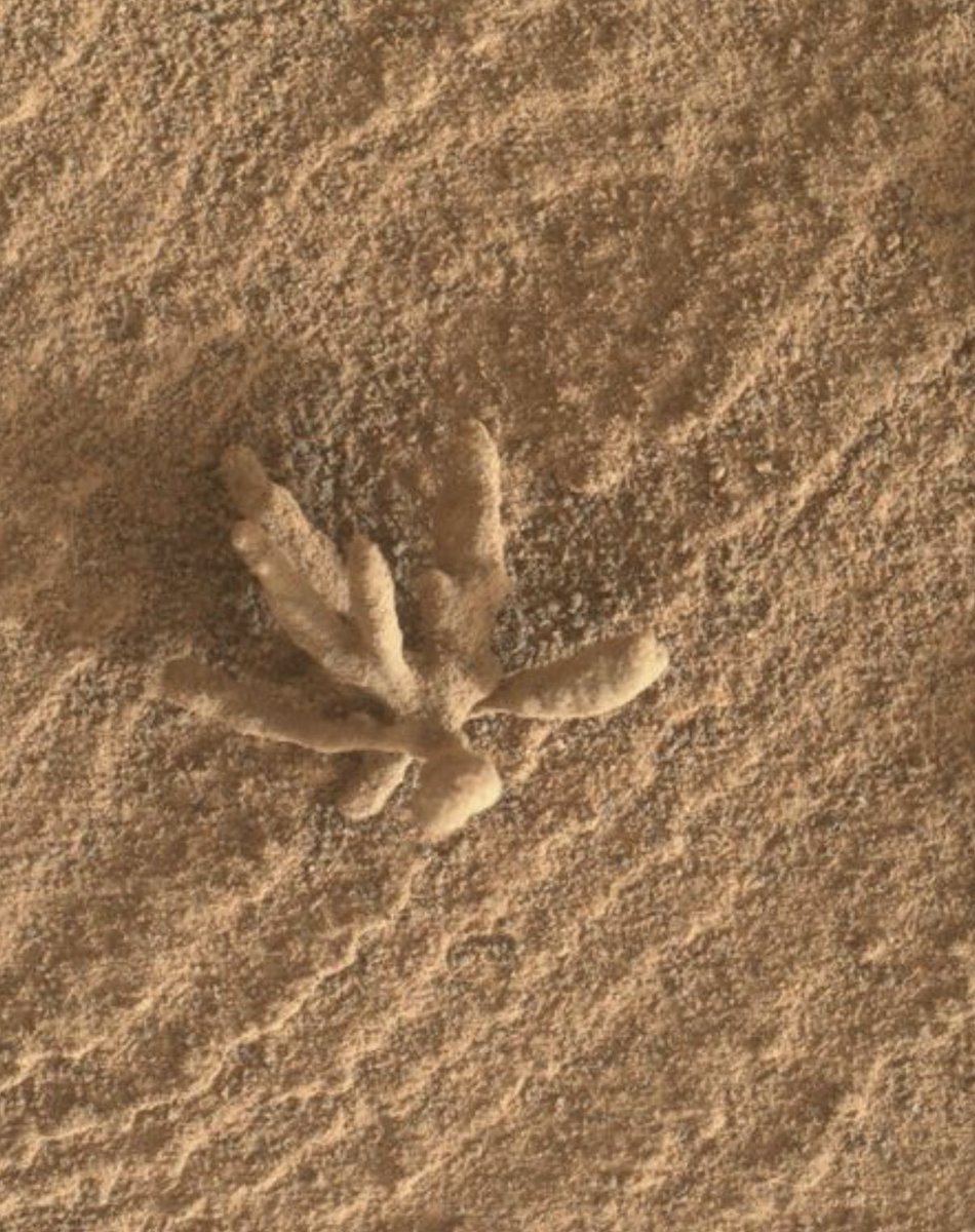 Jeff Rayner #XR #VR #AR #AI tweet media