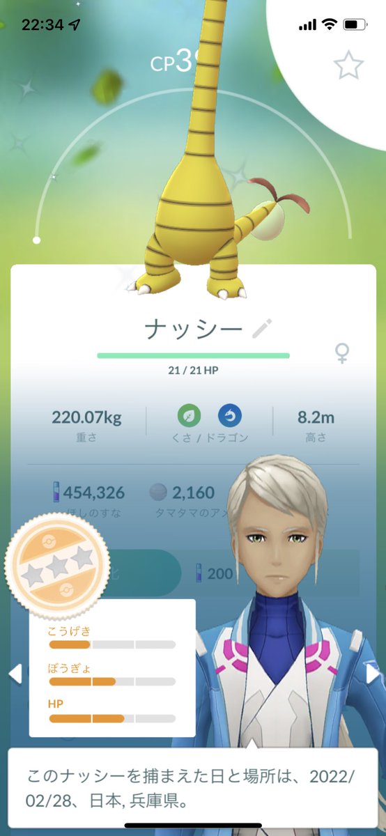 ポケモンgo マメパトの色違い 入手方法と実装状況 攻略大百科 ポケモンgo マメパトの色違い 入手方法と実装状況 攻略大百科