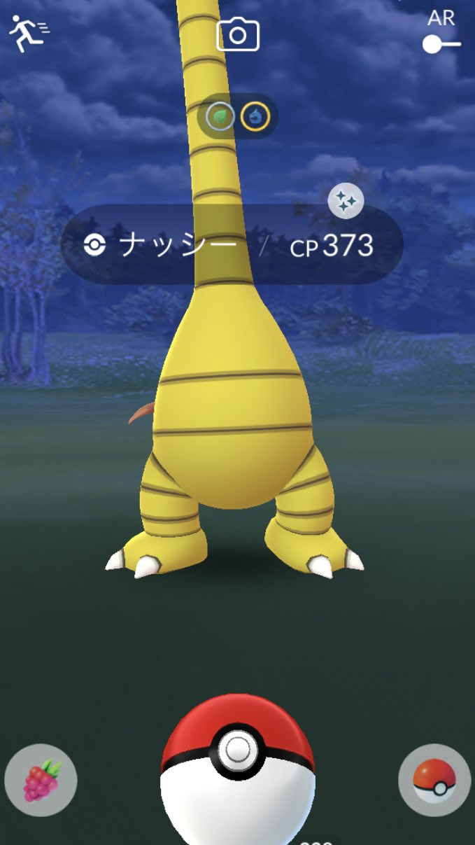 パンダ ポケモン Shockpander Twitter