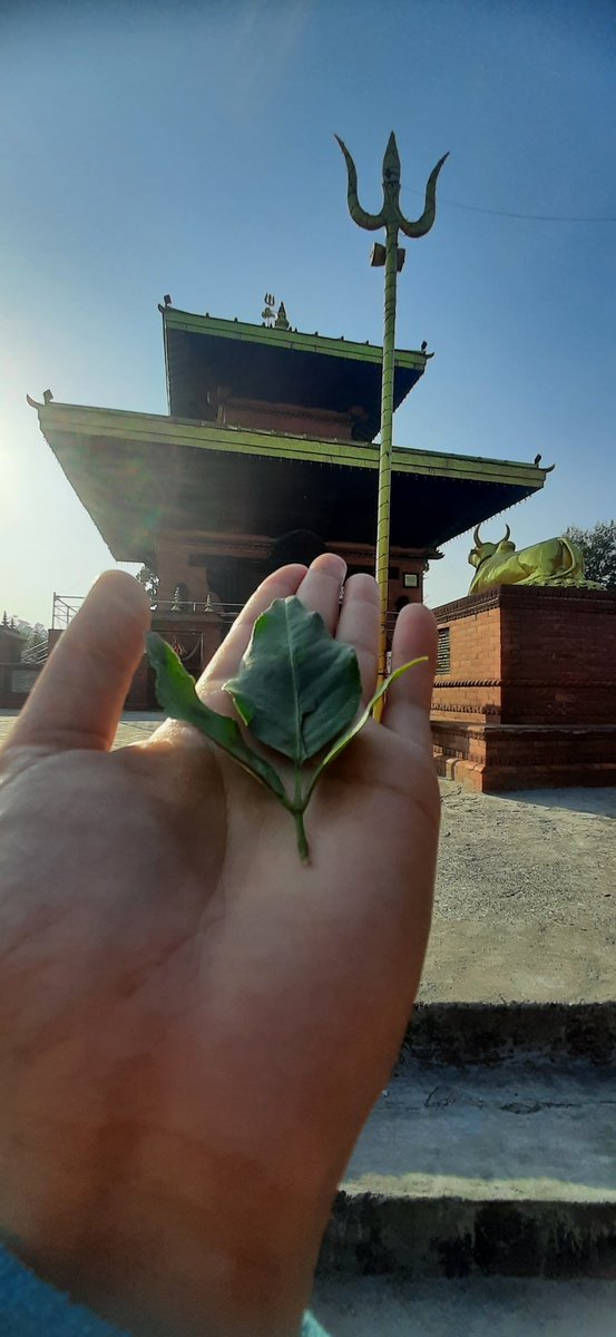 therum_eja's tweet photo. Feel the blessing.
Feel the grace.
#Devghatdham https://t.co/NDU9bnqQua