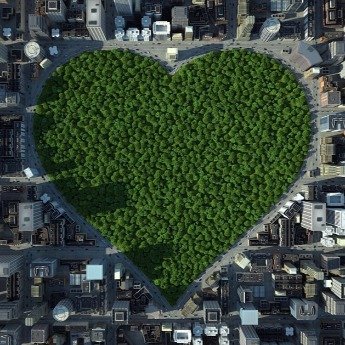 meinGruen's tweet photo. Have you ever thought about the effect of urban green on your spatial perception? 
Help us to understand how urban green is perceived in street view images and participate in a small study here:
https://t.co/DPt6Apj3bs 
#citizenscience #zooniverse #urbangreen #environment https://t.co/SHV6V53f9r