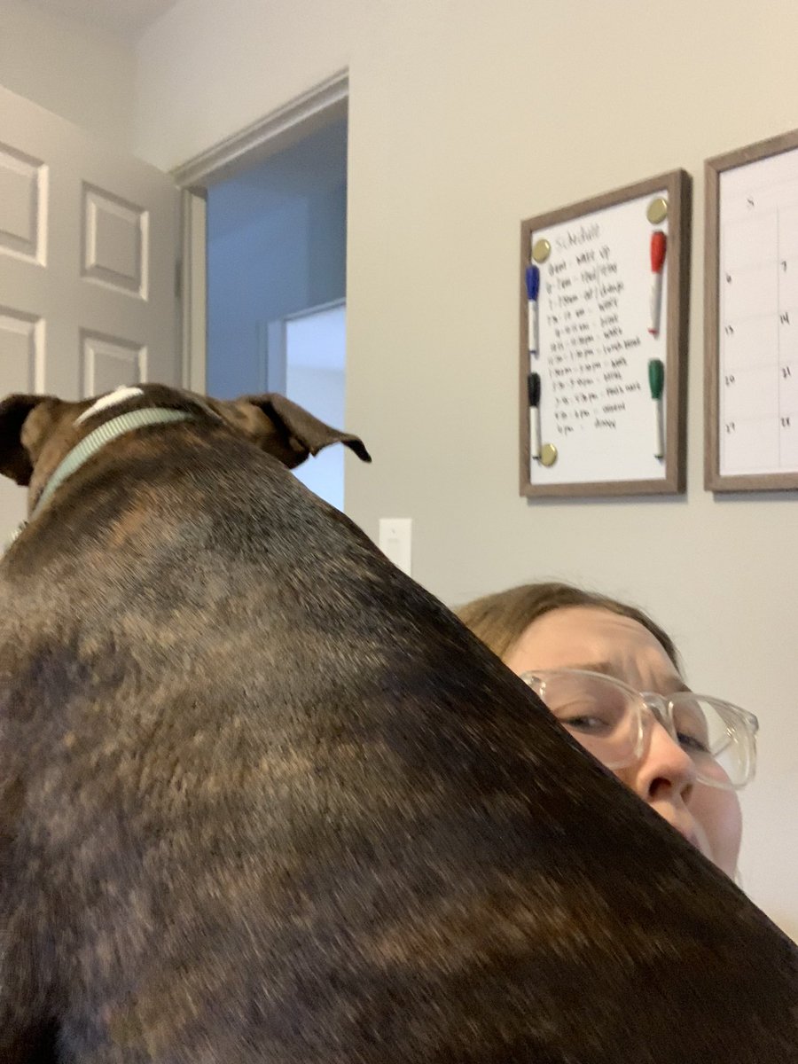 mikaebae's tweet photo. My dog is worse than my cats when it comes to working from home: a four part series https://t.co/yLog0mtvGE