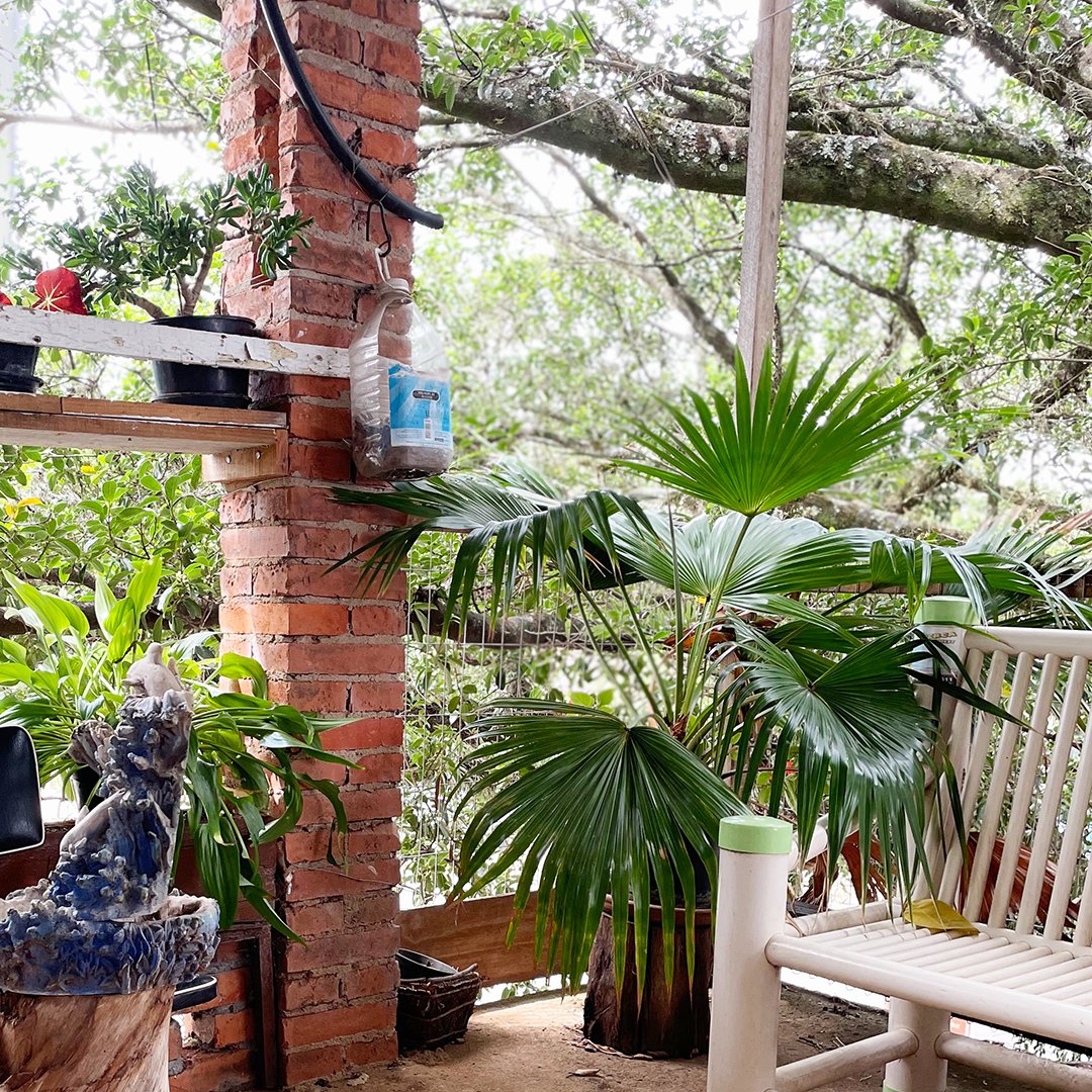 tsl creative tweet media