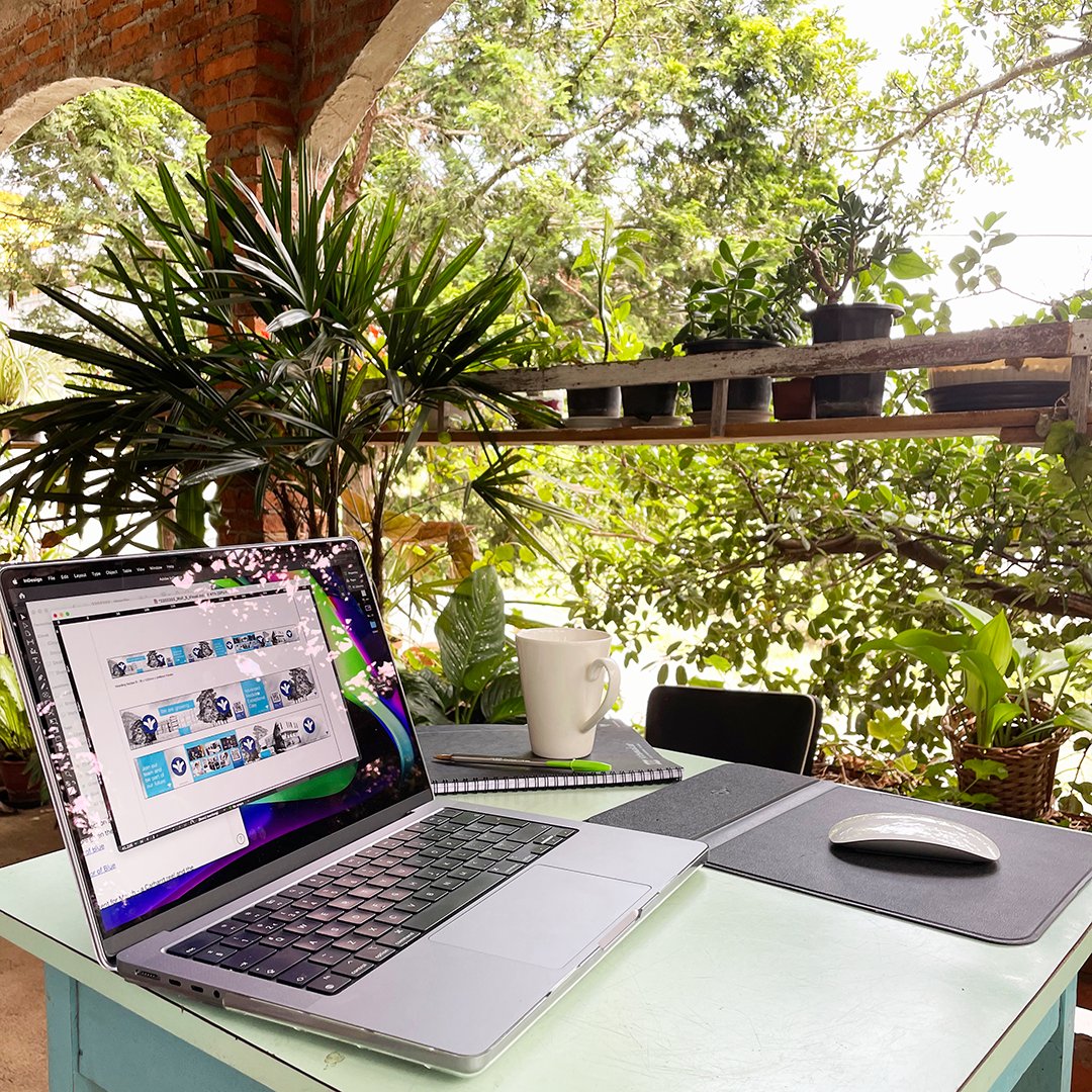 tsl creative tweet media