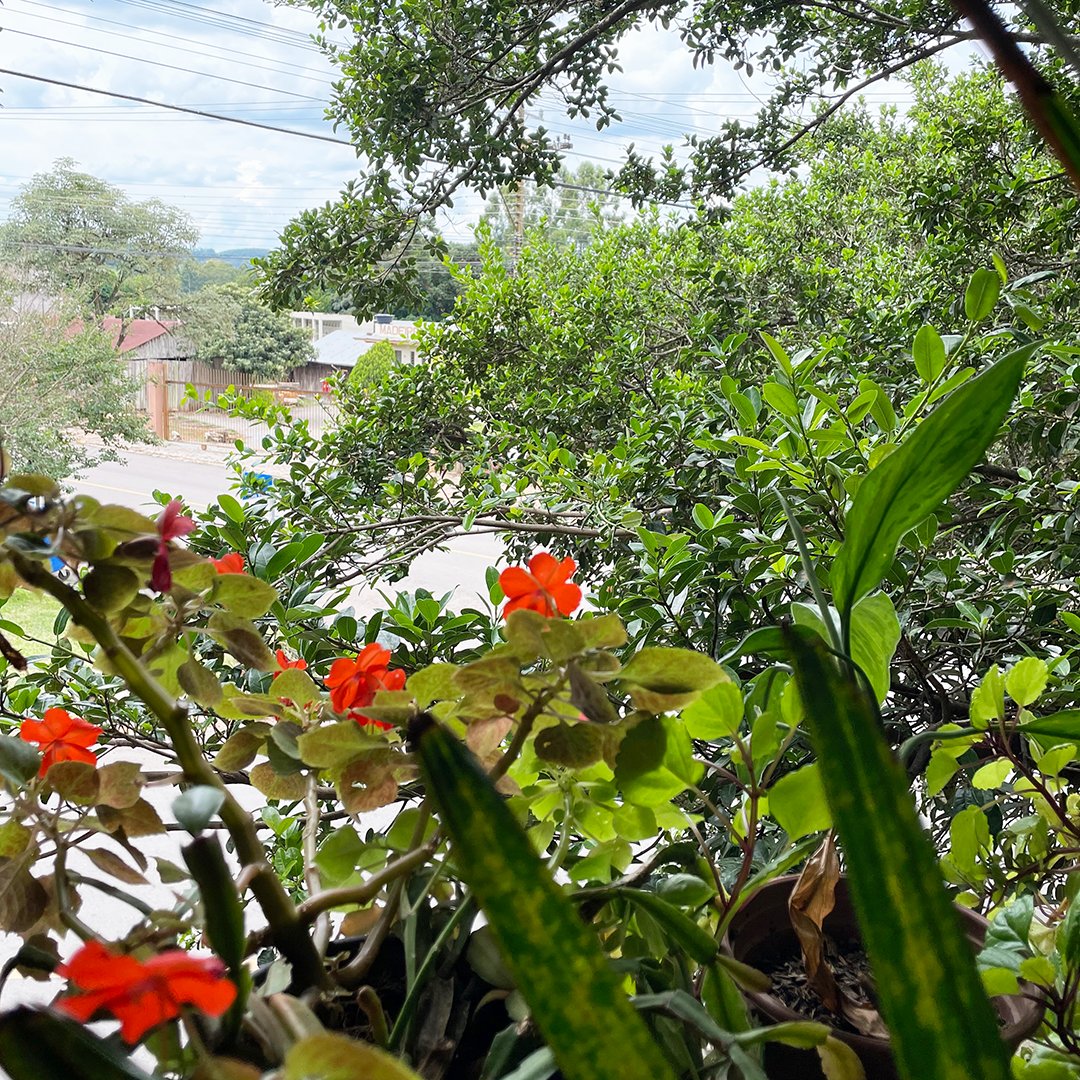 tsl creative tweet media