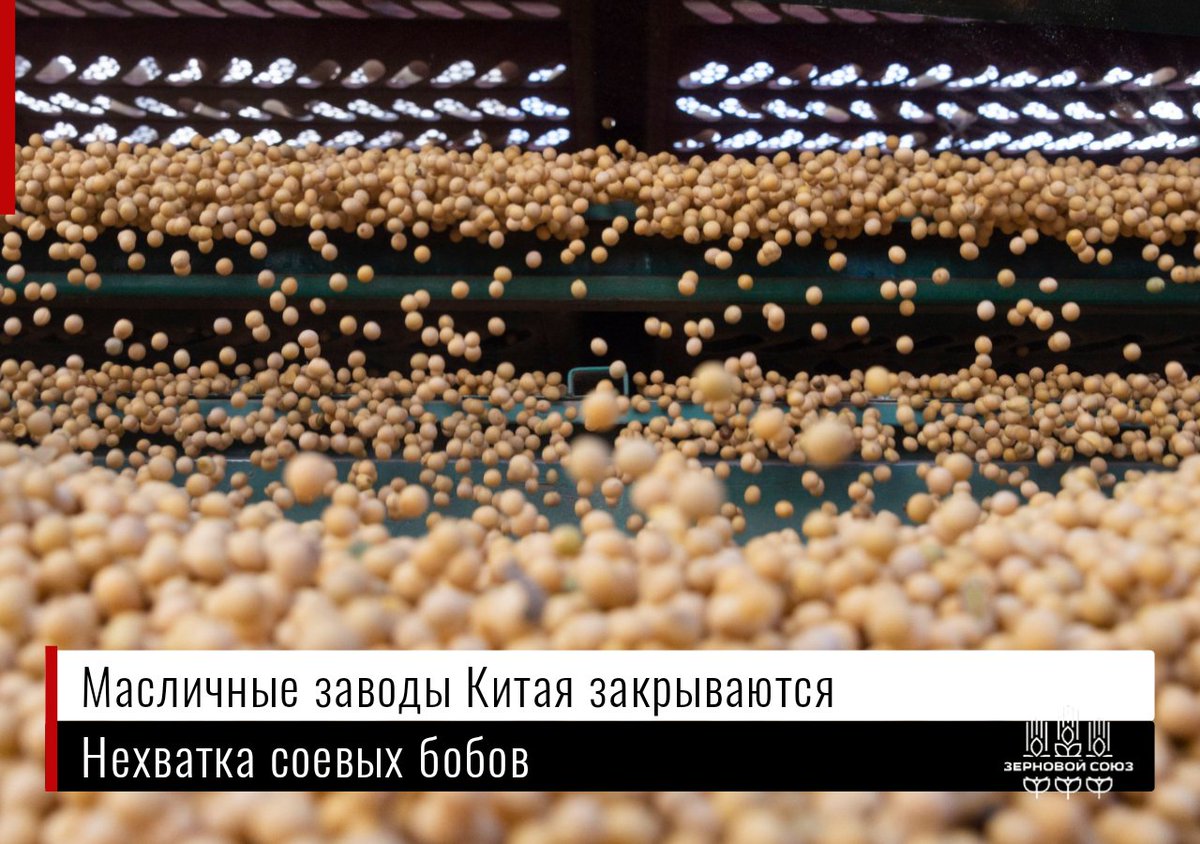 Масличные заводы Китая закрываются из-за нехватки сои.
Перерабатывающие заводы Bunge, расположенные в Тяньцзине, приостановили работу с 14 февраля по 3 апреля. Заводы Louis Dreyfus Company (LDC)...
t.me/zernoinfo21/22…