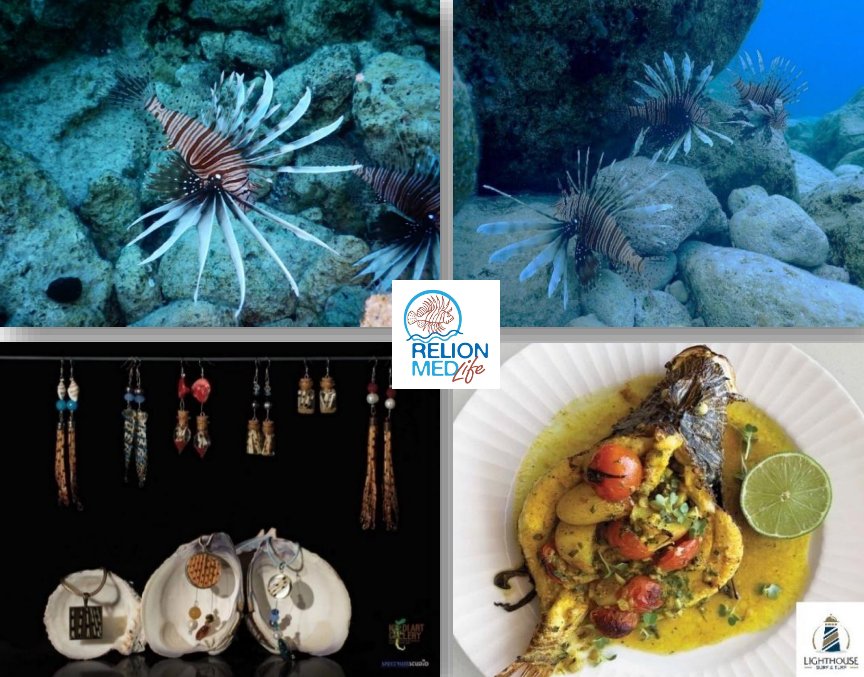 relionmed's tweet photo. The #EU-#funded project #RELIONMED-#Life has been #completed. Thank you for your support. Continue to #use #lionfish to help the Mediterranean!
https://t.co/NM7c1R2U9X https://t.co/J8kaVdRP1I