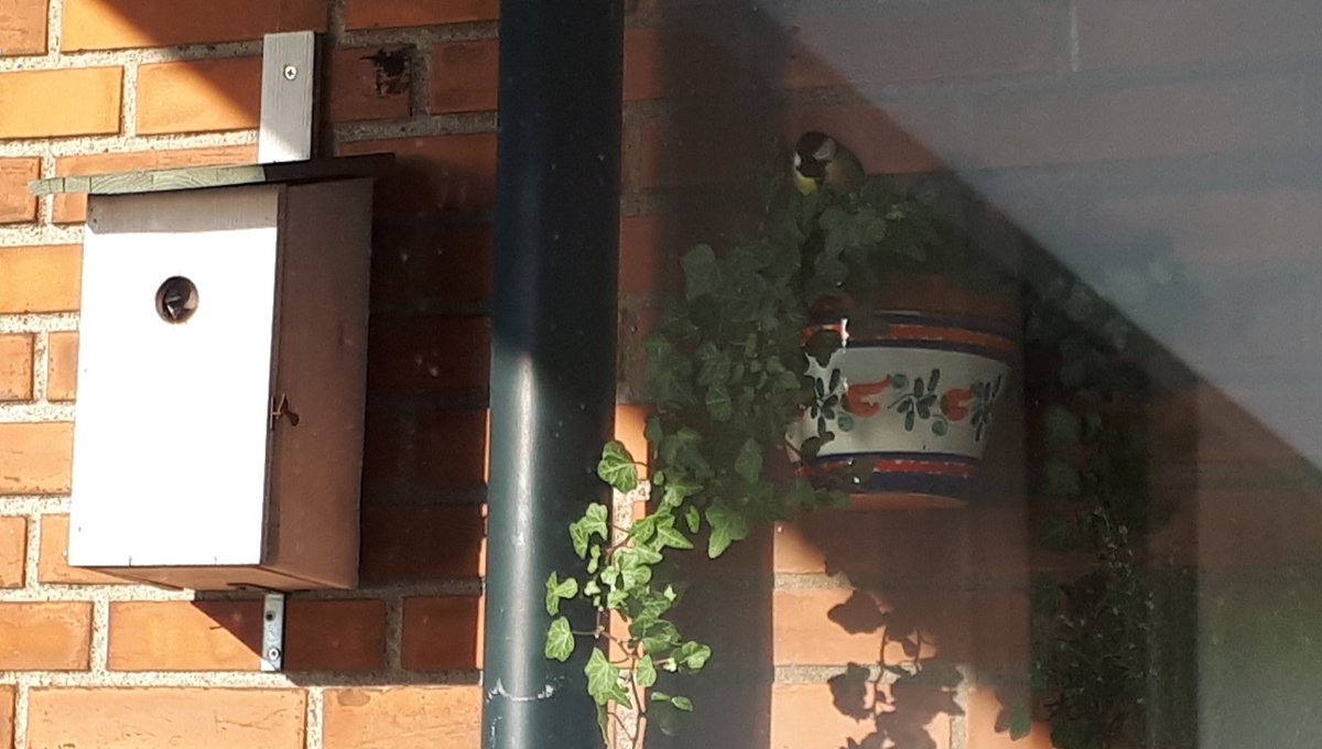 SuzanneGeurts's tweet photo. Inspectie van het onroerend goed (l) en de bijbehorende percelen (r). #openhuizenroute #beleefdelente https://t.co/hgjsPt5ZEa