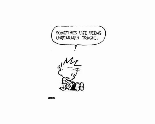 Calvinn_Hobbes's tweet photo. Got the case of the Monday blues… #CalvinandHobbes https://t.co/TIMgZwv1Ei