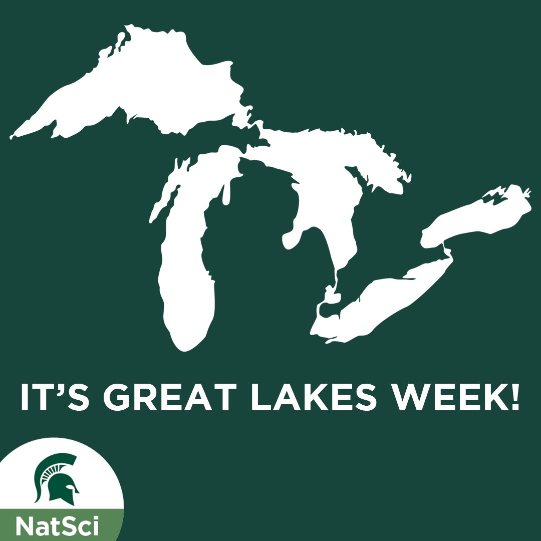 MSU College of Natural Science tweet media