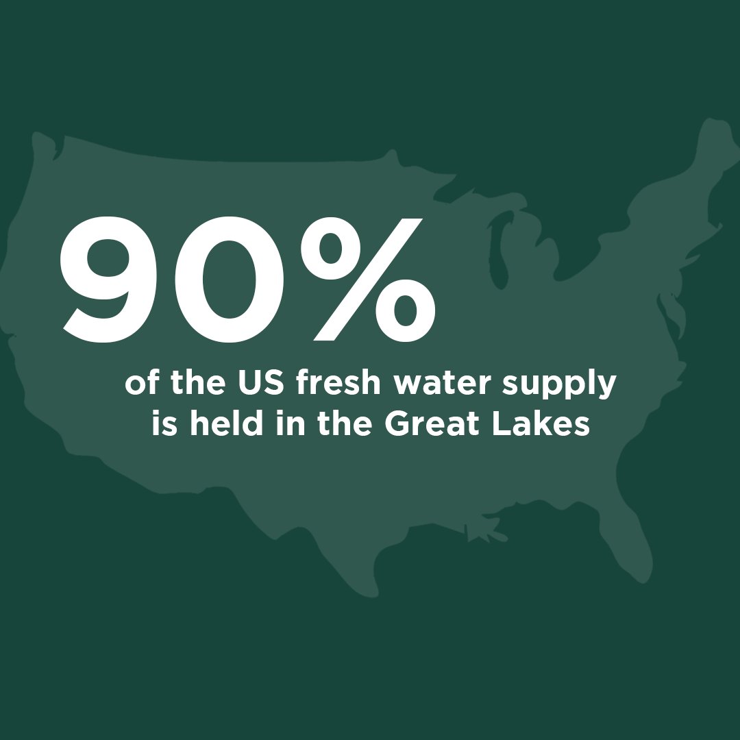 MSU College of Natural Science tweet media