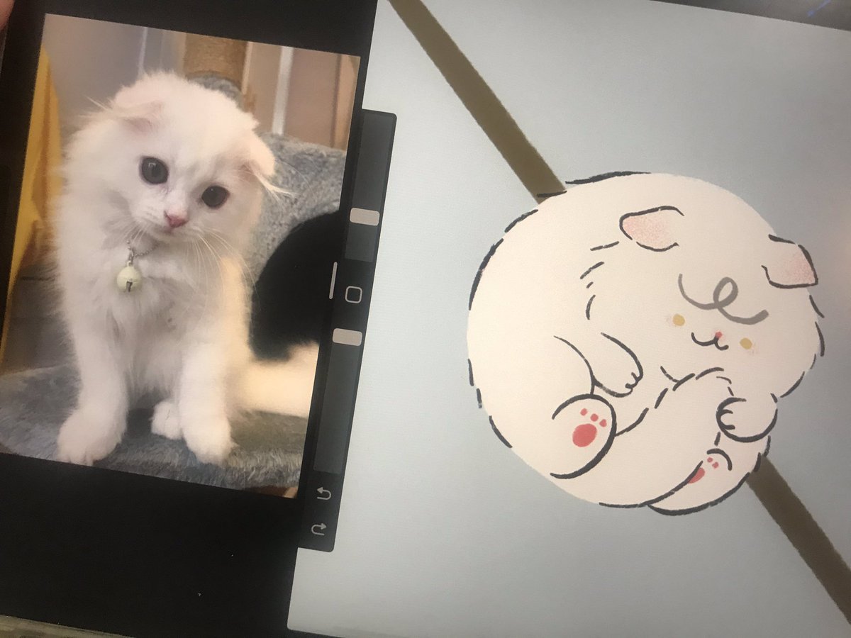turtursketchy's tweet photo. My everyone cat’s project begin 😆💖
#KoroKoroMary #Dangocat https://t.co/uOQwymLEIM