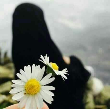Islamicwrites7's tweet photo. عورت چاند جیسی نہیں ہونی چاہیے...!!
جسے ہر کوئی بے نقاب دیکھے....!!
بلکہ عورت تو سورج جیسی ہونی چاہیے✨
جسے دیکھنے سے پہلے نظریں جھک جائیں💯 https://t.co/m0fR5Pz48X